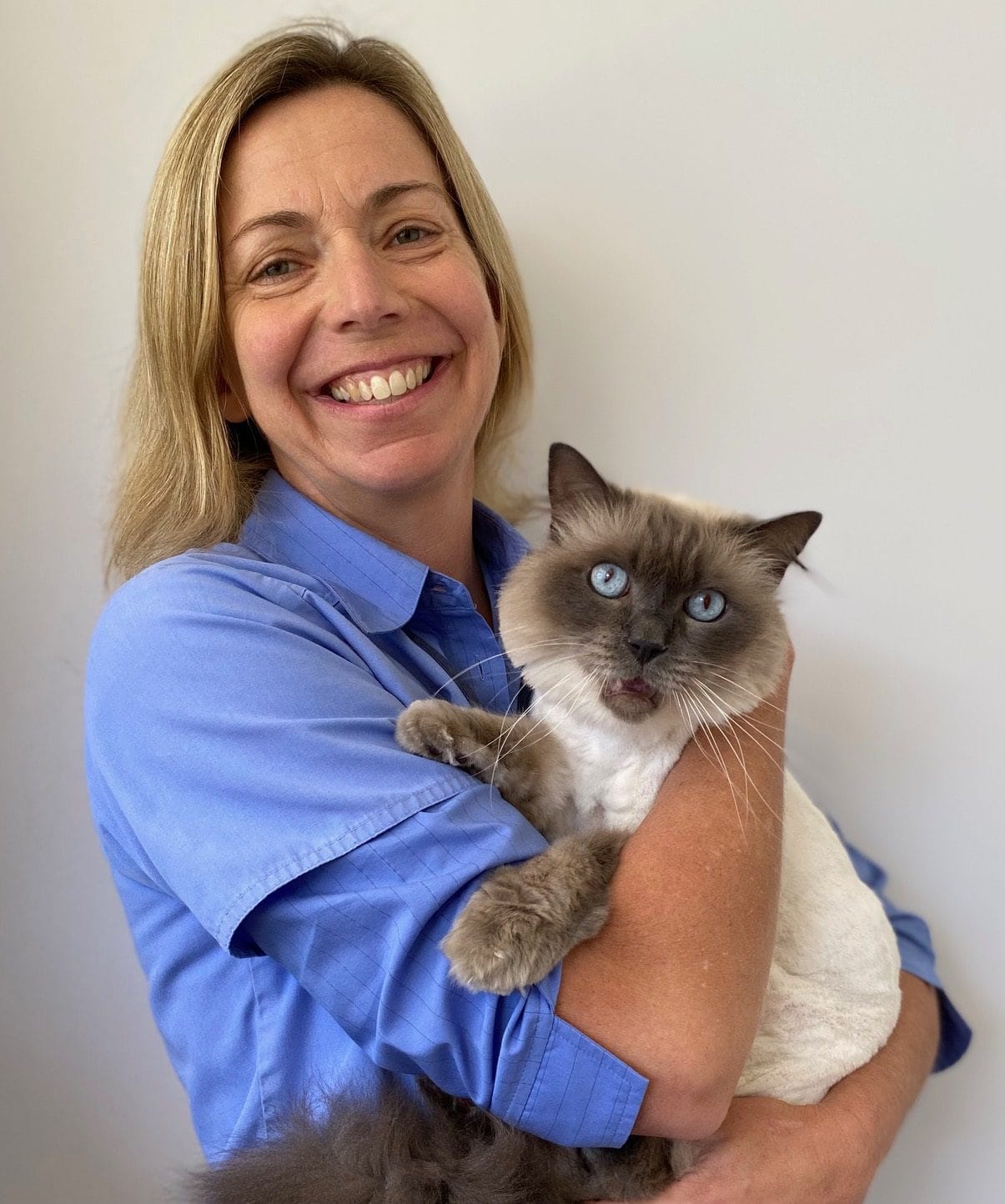 About Us | Mona Vale Veterinary Hospital | Northern Beaches Vets