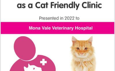 3 years of being Feline Friendly Accredited with the International Society of Feline Medicine (ISFM)