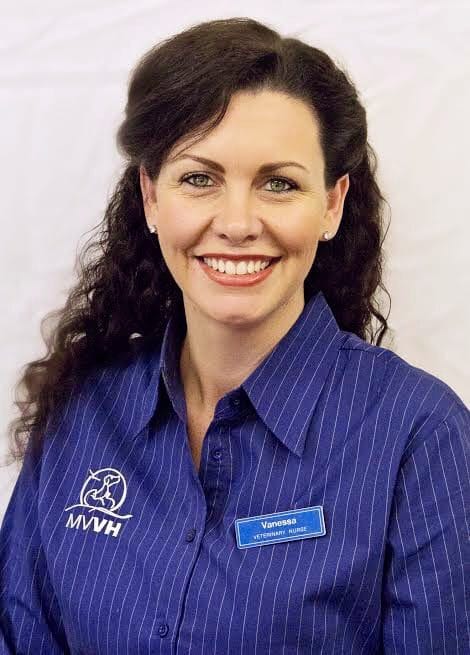 Vanessa - Cert IV VN