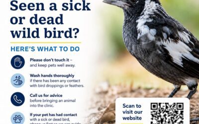 Bird Flu (H5N1) advice_ Frequently Asked Questions